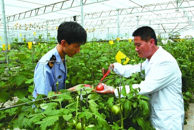 平?jīng)鍪乘幈O(jiān)所對(duì)蔬菜農(nóng)藥殘留量進(jìn)行測定
